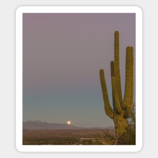 Four Peaks Moonrise Sticker